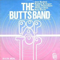 Pop-A-Top / Baja Bus
