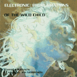 Electronic Proclamations Of The Wild Child