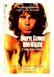 Burn Down The Night — photo 1